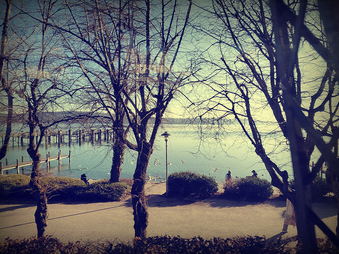 photostudio_1770040208649