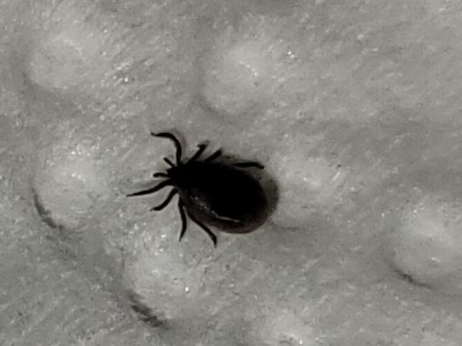 Screenshot_20260413_230704_Gallery