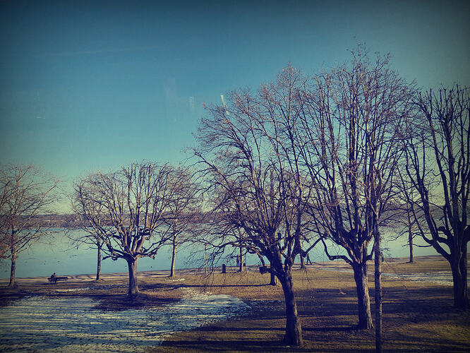 photostudio_1770040367340