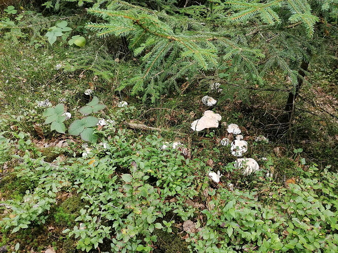 IMG_20260903_140658