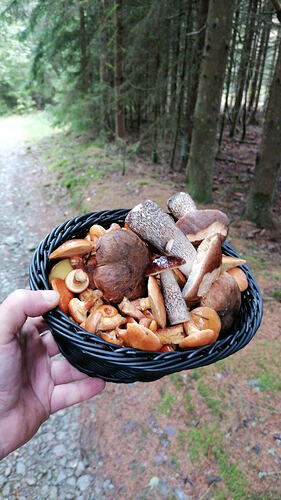 IMG-20260903-WA0009