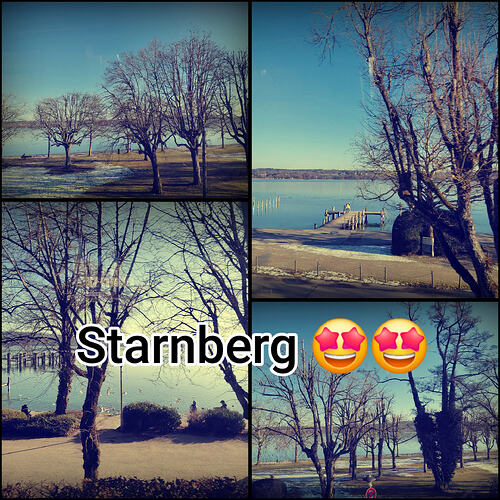 photocollage_202622145430969