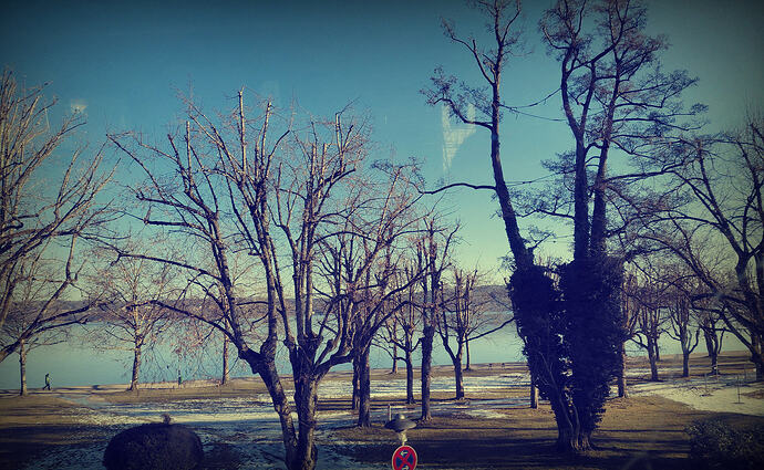 photostudio_1770040163384