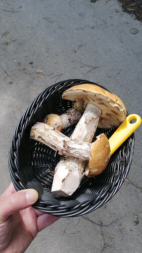 IMG-20260607-WA0005